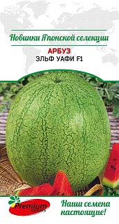 Арбуз Эльф Уафи F1, 5 шт. Японская селекция