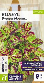 Колеус Визард Мозаика, 8 шт.