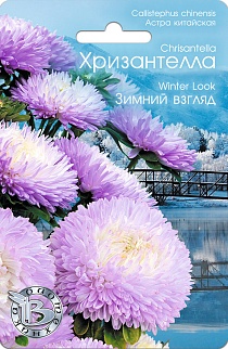 Астра китайская Хризантелла Зимний взгляд, 30 шт. Биотехника