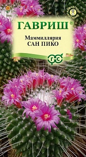 Маммиллярия Толука Сан пико, 2 шт.