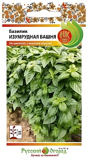 Базилик Изумрудная башня, 10 шт.