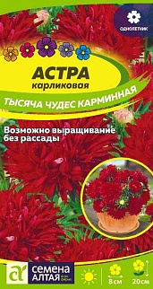 Астра Тысяча чудес карминная карликовая  0,2 г