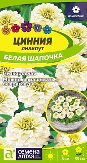 Цинния лилипут Белая шапочка, 0,3 г