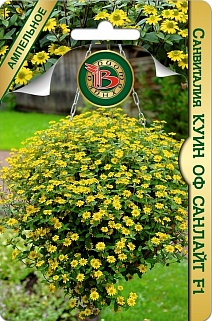 Санвиталия Куин оф Санлайт F1, 10 шт. Биотехника