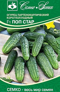 Огурец Поп Стар F1, 5 шт.