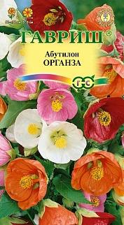 Абутилон Органза, смесь, 7 шт.