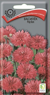 Василёк Ред Бол, 1 г