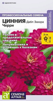 Цинния Дабл Захара Черри, 5 шт. Профессиональные семена.