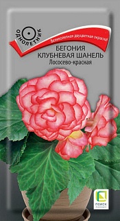 Бегония клубневая Шанель Лососево-красная, 5 шт.