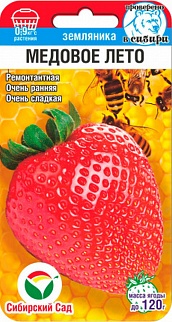 Клубника Медовое лето, 5 шт. Сибирский сад