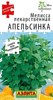 Мелисса лекарственная Апельсинка, 5 шт.