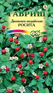 Дюшенея индийская Росита, 15 шт.