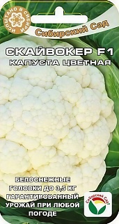 Капуста цветная Скайвокер F1. Сибирский сад
