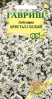 Лобулярия Кристалл Белый, 15 шт. Элитная клумба.