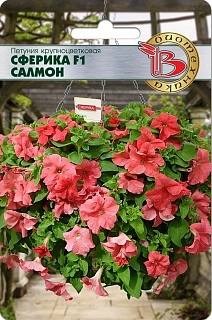 Петуния крупноцветковая Сферика F1 Салмон, 10 шт. Биотехника
