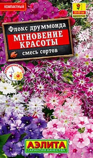 Флокс друммонда Мгновение красоты, смесь окрасок, 0,1 г