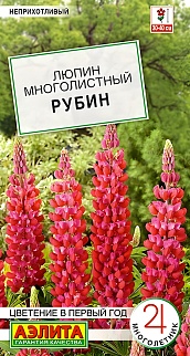 Люпин Рубин, 7 шт.