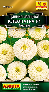 Цинния Клеопатра F1 белая, 12 шт.