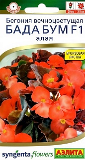 Бегония Бада бум F1 алая, 5 шт.