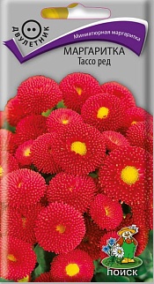 Маргаритка Тассо Ред, 20 шт.