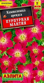 Камнеломка Пурпурная мантия, 0,01 г