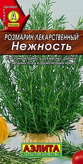 Розмарин Нежность, 20 шт.