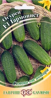 Огурец Гармонист F1, 10 шт. Корнишон. Авторские семена.