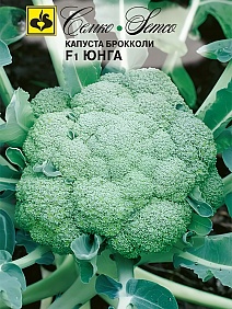 Капуста брокколи Юнга F1, 10 шт.