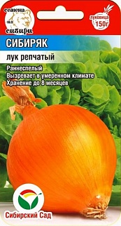 Лук Сибиряк, 1 г. Сибирский сад