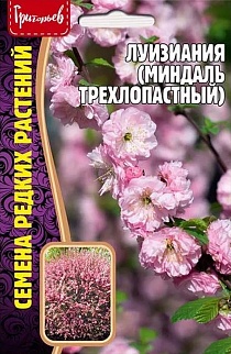 Луизиания (Миндаль трехлопастный), 3 шт.