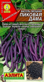 Фасоль овощная Пиковая дама, 5 г