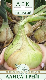 Лук репчатый Алиса Грейг, 0,3 г Биотехника
