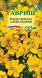 Кассия Александрия, трубчатая, 3 шт.