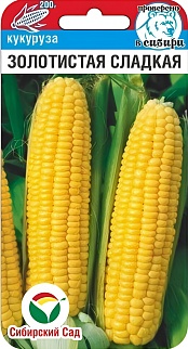Кукуруза Золотистая сладкая, 10 шт. Сибирский сад.