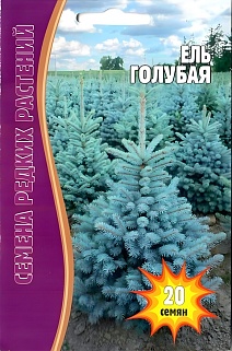 Ель Голубая, 20 шт.