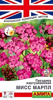 Гвоздика картузианская Мисс Марпл, 0,05 г