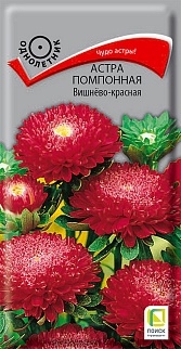 Астра помпонная Вишнево-красная, 0,3 г