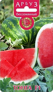 Арбуз бессемянный Тонга F1, 5 шт. Биотехника.