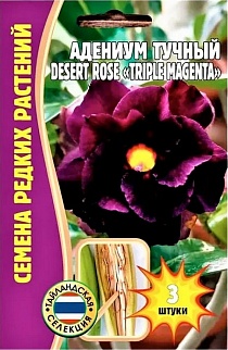 Адениум Triple Magenta Desert Rose (Тройной пурпурный цвет Пустынная роза), 3 шт.