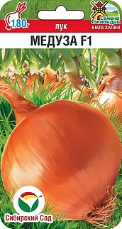 Лук репчатый Медуза F1, 50 шт. Семена Голландии.