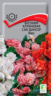 Бегония клубневая Сан Дансер Микс, 7 шт.