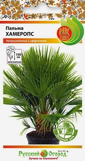 Пальма Хамеропс, 2 шт. Зеленый дом. Русский огород