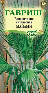 Вашингтония нитеносная Майами, 3шт.