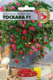 Земляника ампельная Тоскана F1, 5 шт. Биотехника