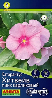 Катарантус Хитвейв пинк карликовый, 5 шт.