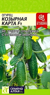 Огурец Козырная Карта F1, 5 шт. 