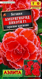 Бегония Америгибрид пикоти F1, красное кружево, 5 шт.