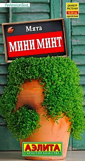Мята Мини минт, 3 шт.