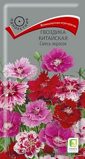Гвоздика Китайская Смесь окрасок, 0,25 г