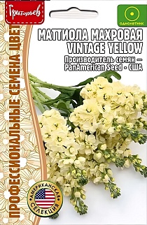 Маттиола махровая Vintage Yellow, 5 шт.